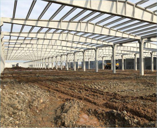 Single Storey
